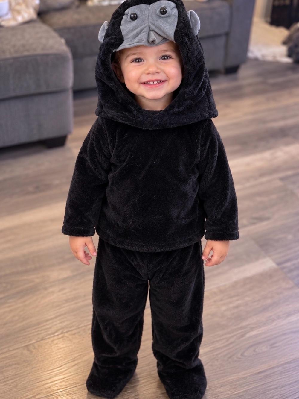 Pottery Barn Toddler Gorilla 3 piece costume